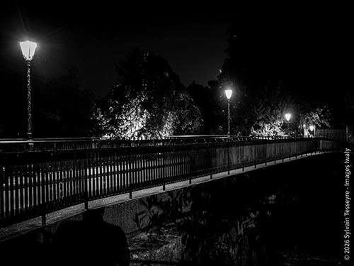 Silhouette on the bridge